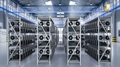 GPU Servers