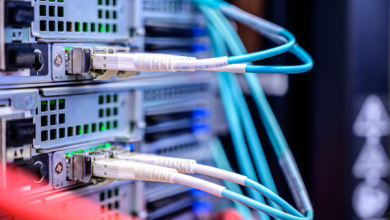 Indian Businesses Are Moving to Dedicated Servers