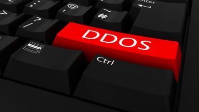 DDoS Protection Services