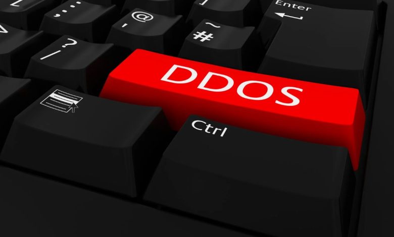 DDoS Protection Services